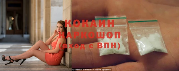 мяу мяу мука Бородино