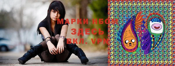 мяу мяу мука Бородино