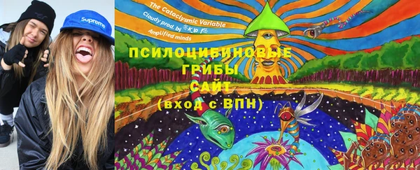 мяу мяу мука Бородино